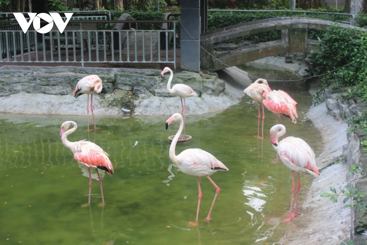 Vườn Bướm & Vườn Hồng Hạc